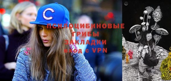 стаф Верхний Тагил