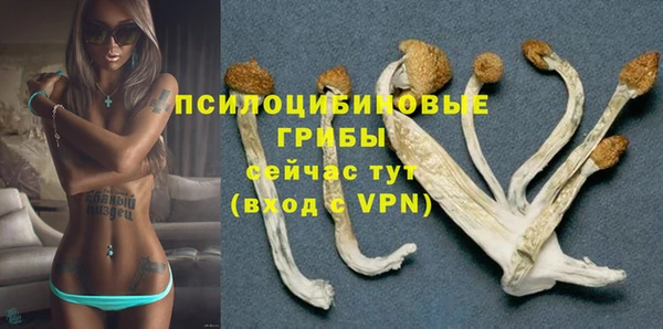 спайс Верея
