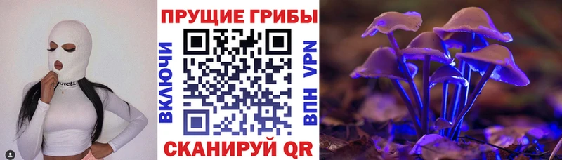 Псилоцибиновые грибы MAGIC MUSHROOMS  Катайск 